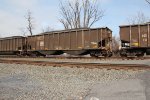 NS 10006
